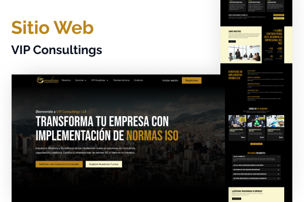 VIP Consultings- E-Learning